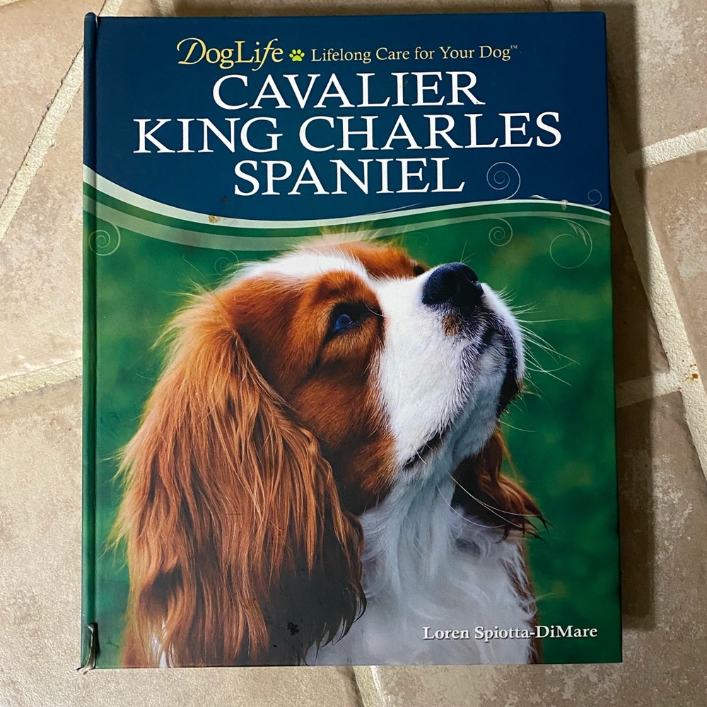 Cavalier King Charles Spaniel book with CD
